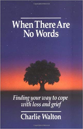 When There Are No Words book cover