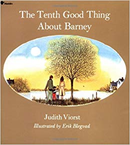 The Tenth Good Thing About Barney book cover